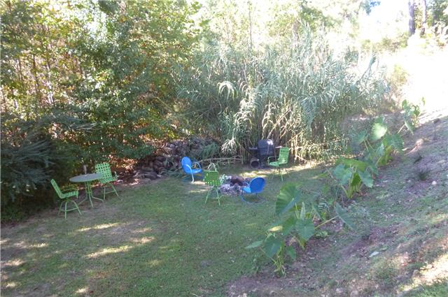 6908 Primm Springs Road Lyles, TN 37098 - Photo 18 of 19 Back yard entertainment area.