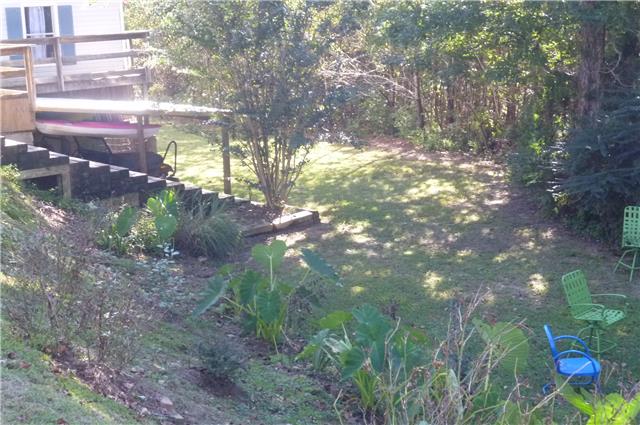 6908 Primm Springs Road Lyles, TN 37098 - Photo 5 of 19 Back yard, surrounded by woods, very private