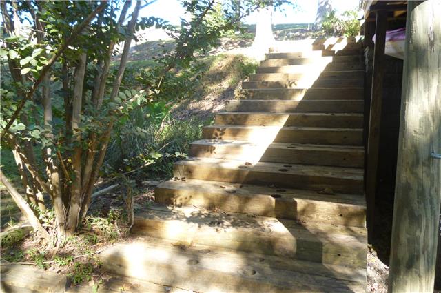 6908 Primm Springs Road Lyles, TN 37098 - Photo 6 of 19 Steps from driveway to back yard