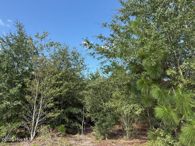 Tbd Johns Road Laurinburg, NC 28352 - Photo 3 of 5 Land