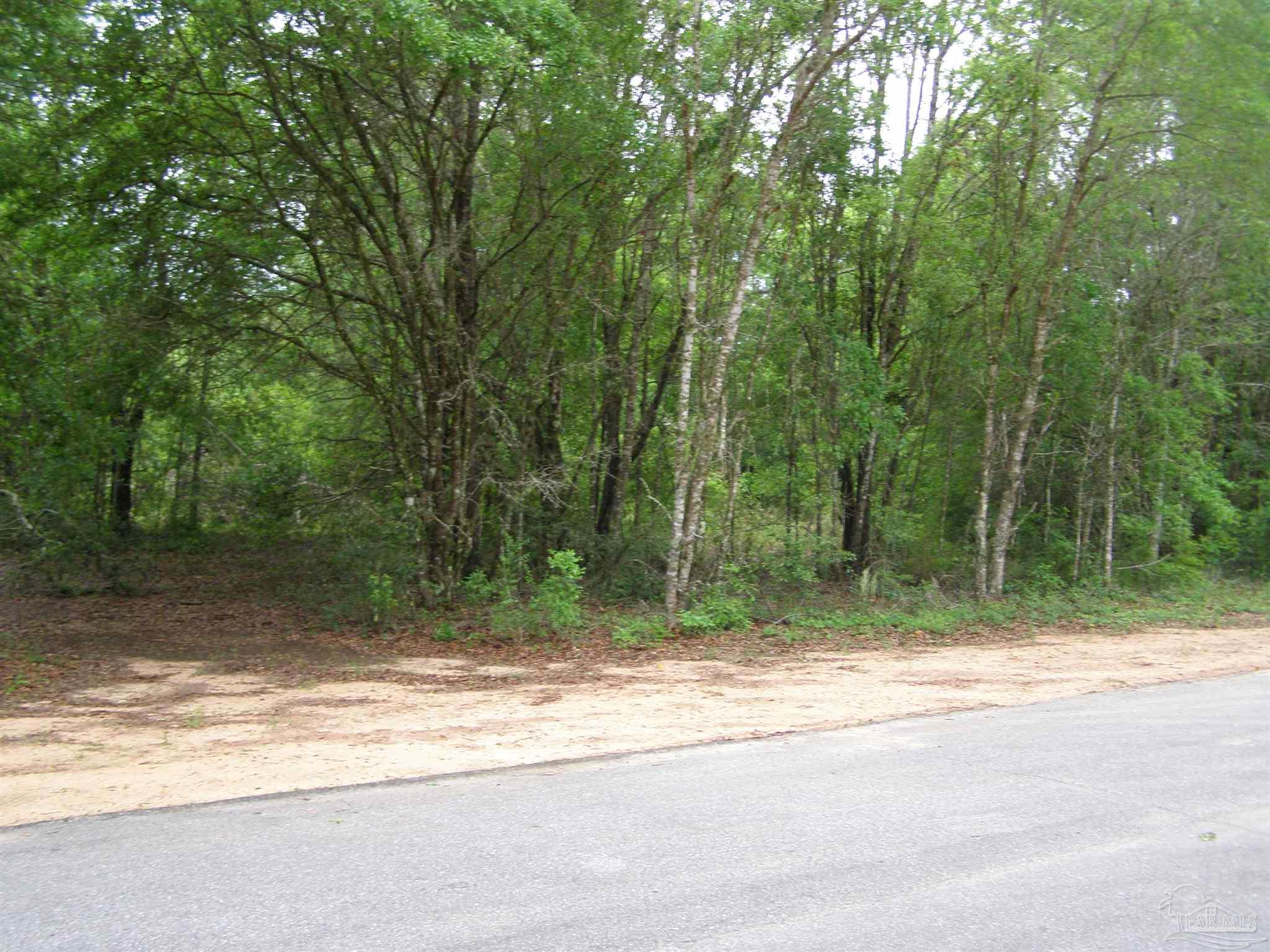 0 West Spencer Field Road Pace, FL 32571 - Photo 1 of 7 Gallery Image 1
