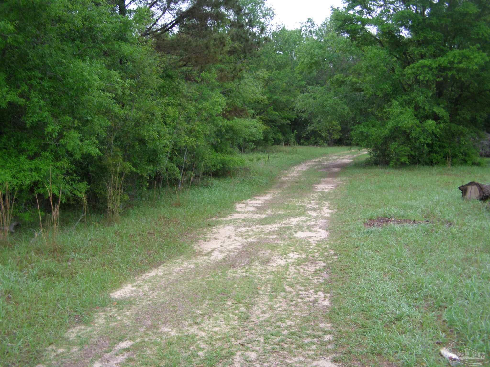 0 West Spencer Field Road Pace, FL 32571 - Photo 3 of 7 Gallery Image 3
