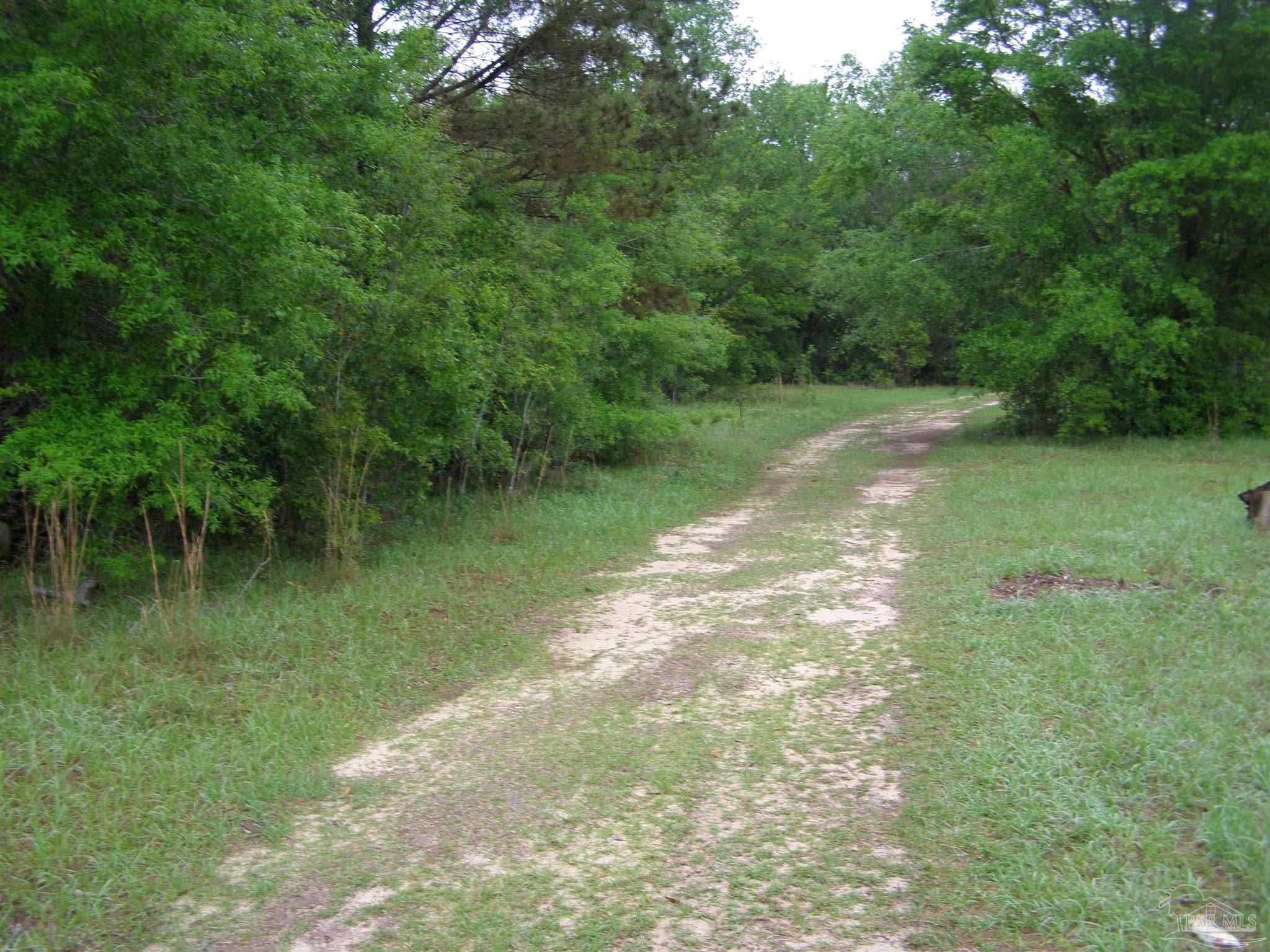 0 West Spencer Field Road Pace, FL 32571 - Photo 4 of 7 Gallery Image 4