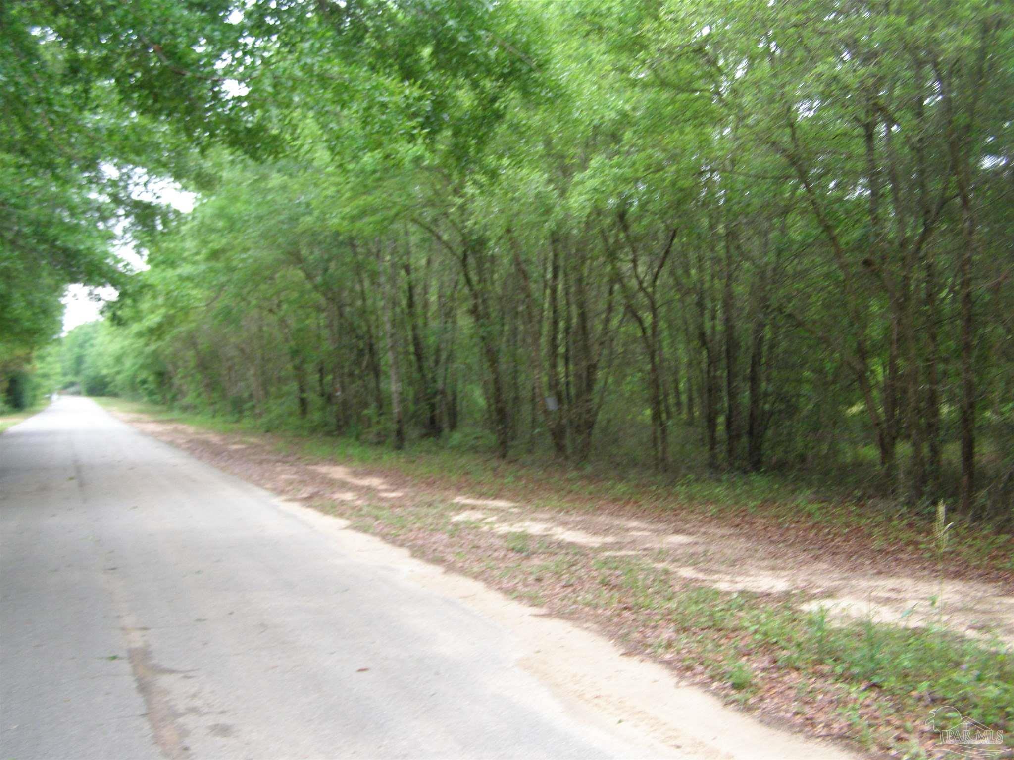 0 West Spencer Field Road Pace, FL 32571 - Photo 6 of 7 Gallery Image 6