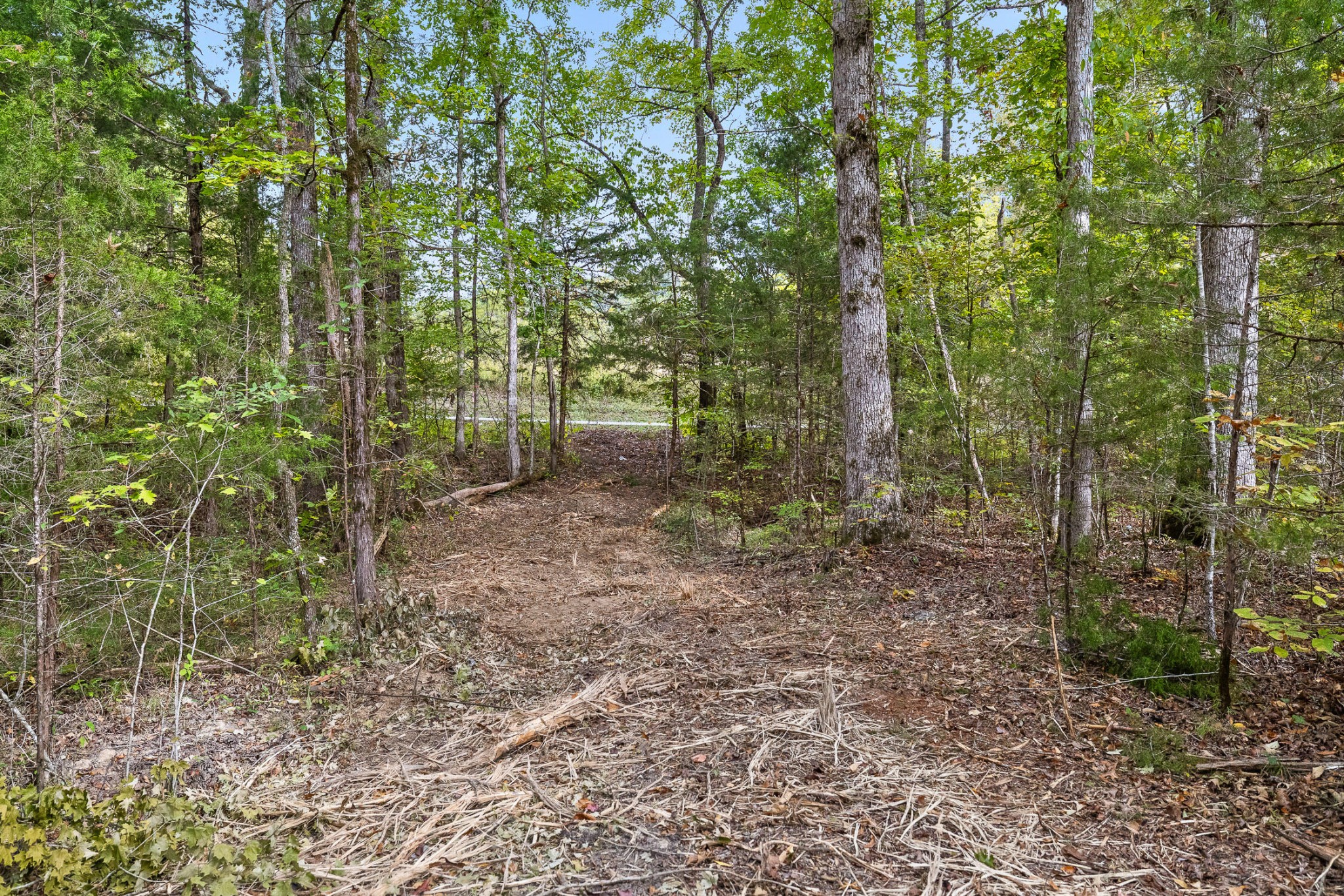 4 Lick Creek Road Tellico Plains, TN 37385 - Photo 3 of 5