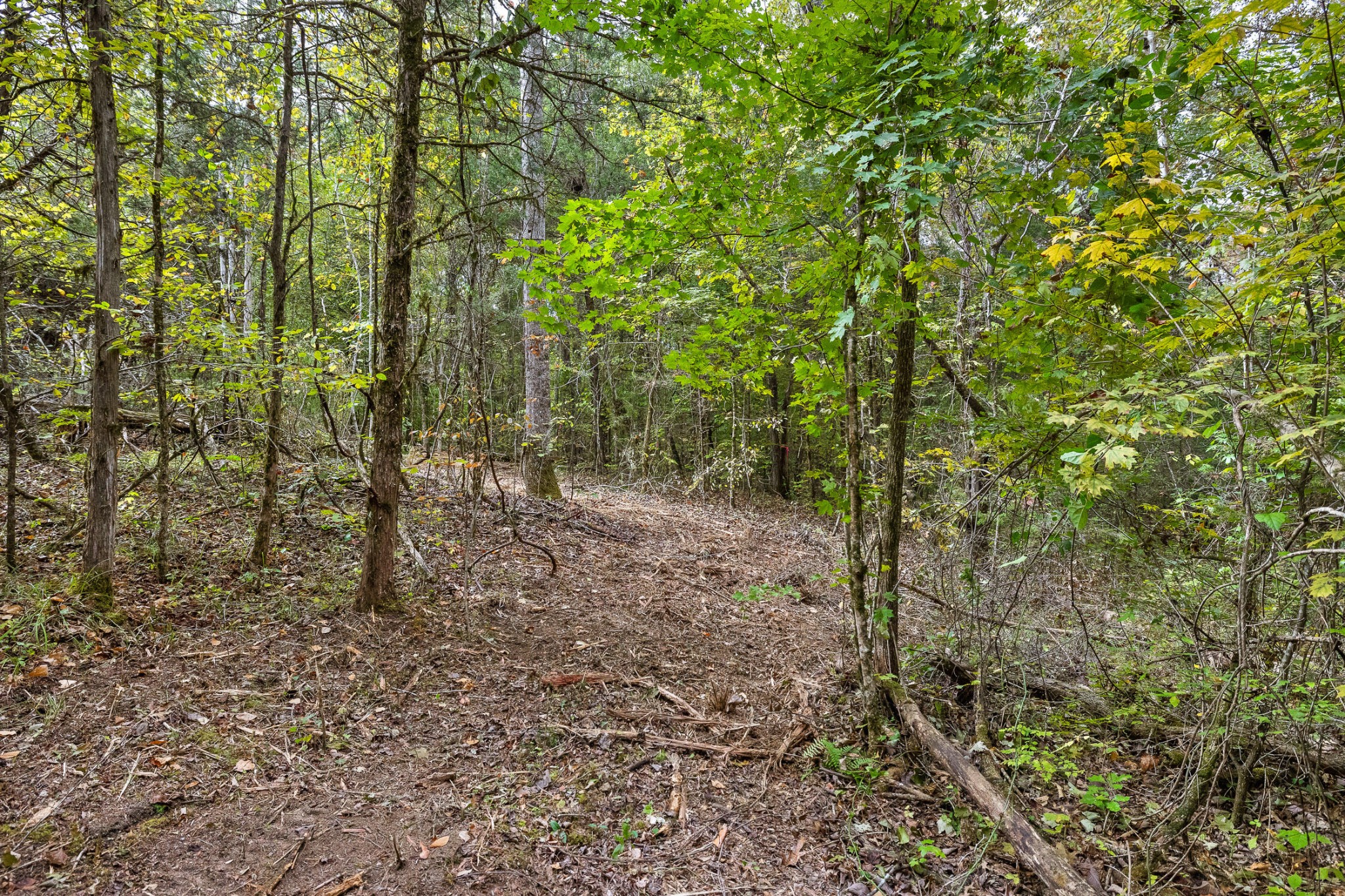 4 Lick Creek Road Tellico Plains, TN 37385 - Photo 4 of 5