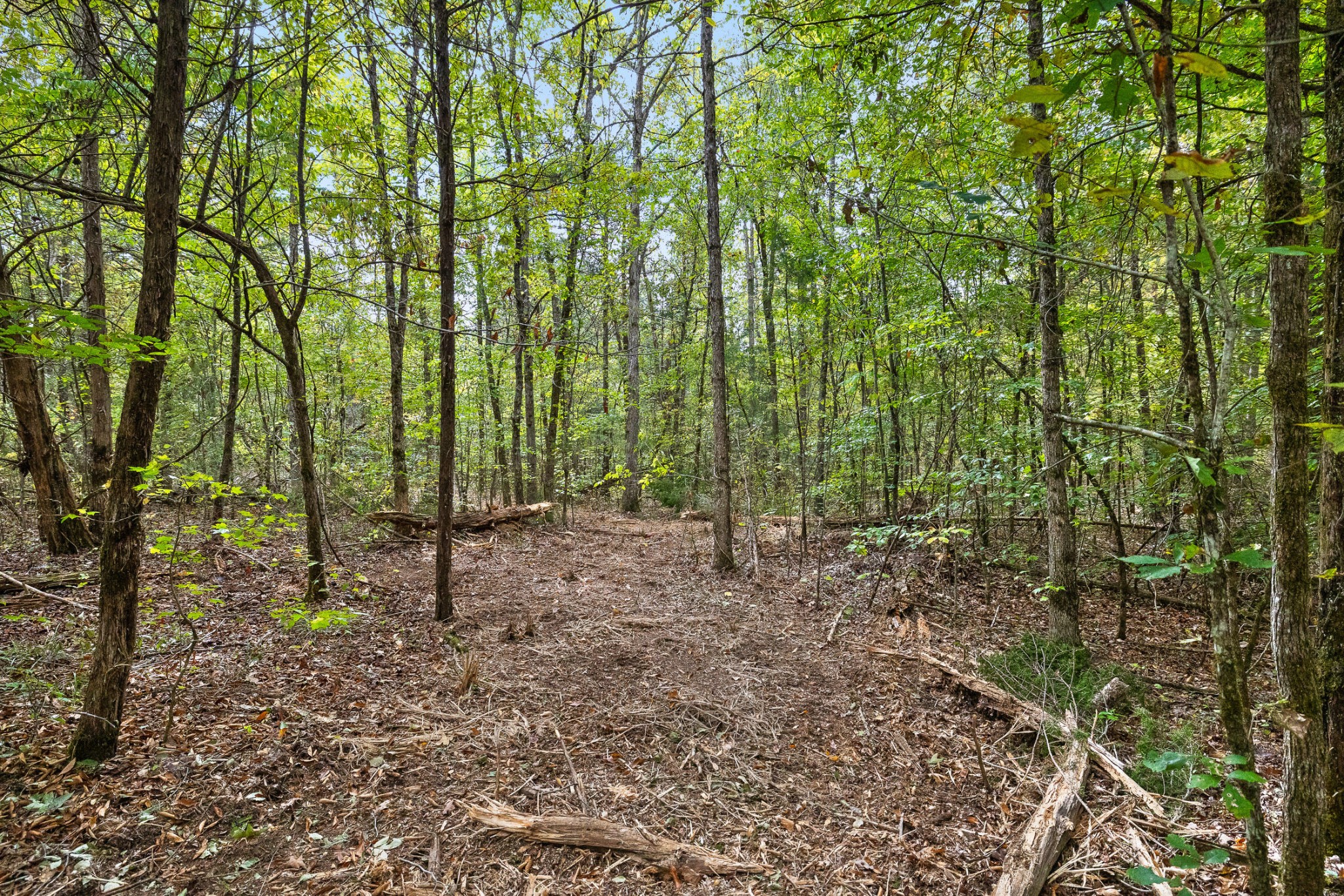 4 Lick Creek Road Tellico Plains, TN 37385 - Photo 5 of 5