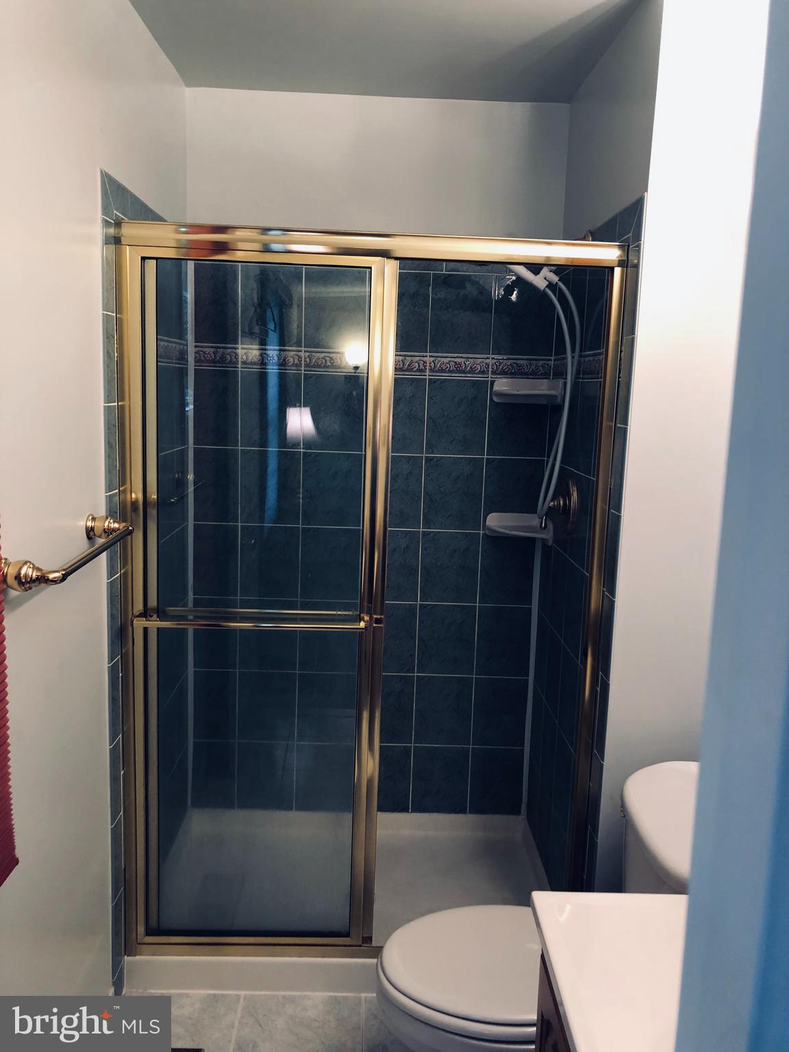 13218 Poplar Tree Road Fairfax, VA 22033 - Photo 14 of 16 Master Bath