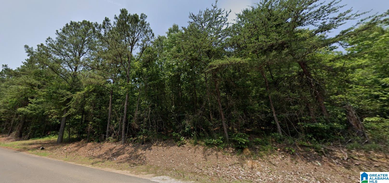 0 Bama Rock Garden Road Vance, AL 35490 - Photo 1 of 3