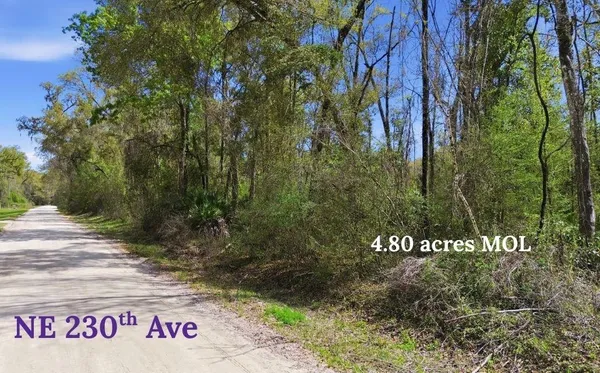 $52,900 | Tbd Northeast 230th Avenue, Old Town, FL 32680