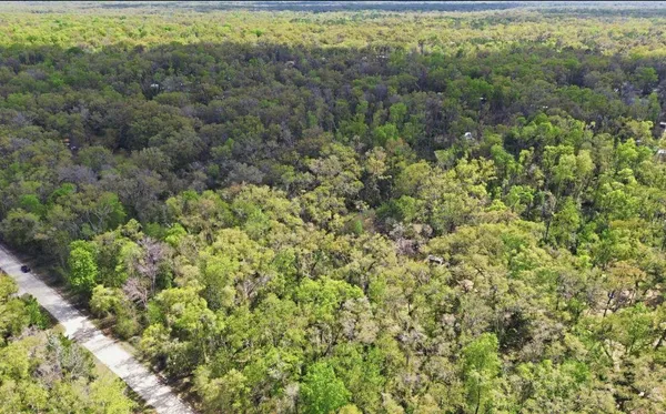 $59,999 | Tbd Northeast 230th Avenue, Old Town, FL 32680
