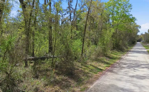 $59,999 | Tbd Northeast 230th Avenue, Old Town, FL 32680