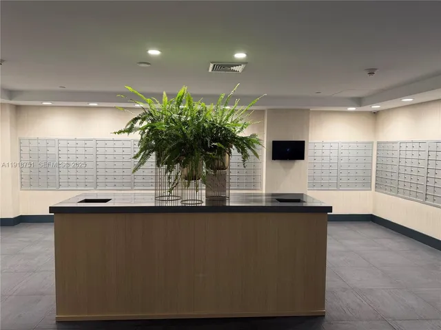a kitchen with counter top space and a potted plant