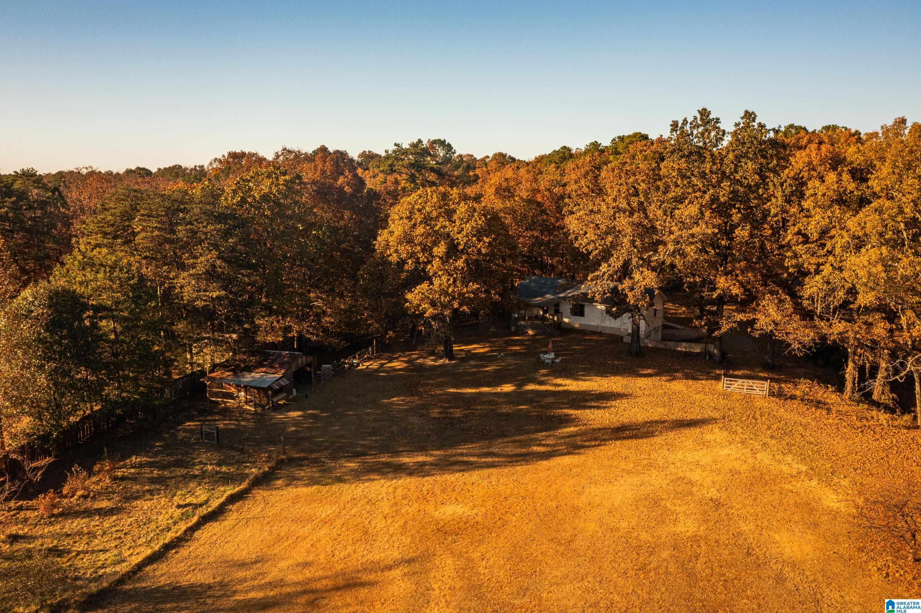 2619 Cole Road Morris, AL 35116 - Photo 51 of 52