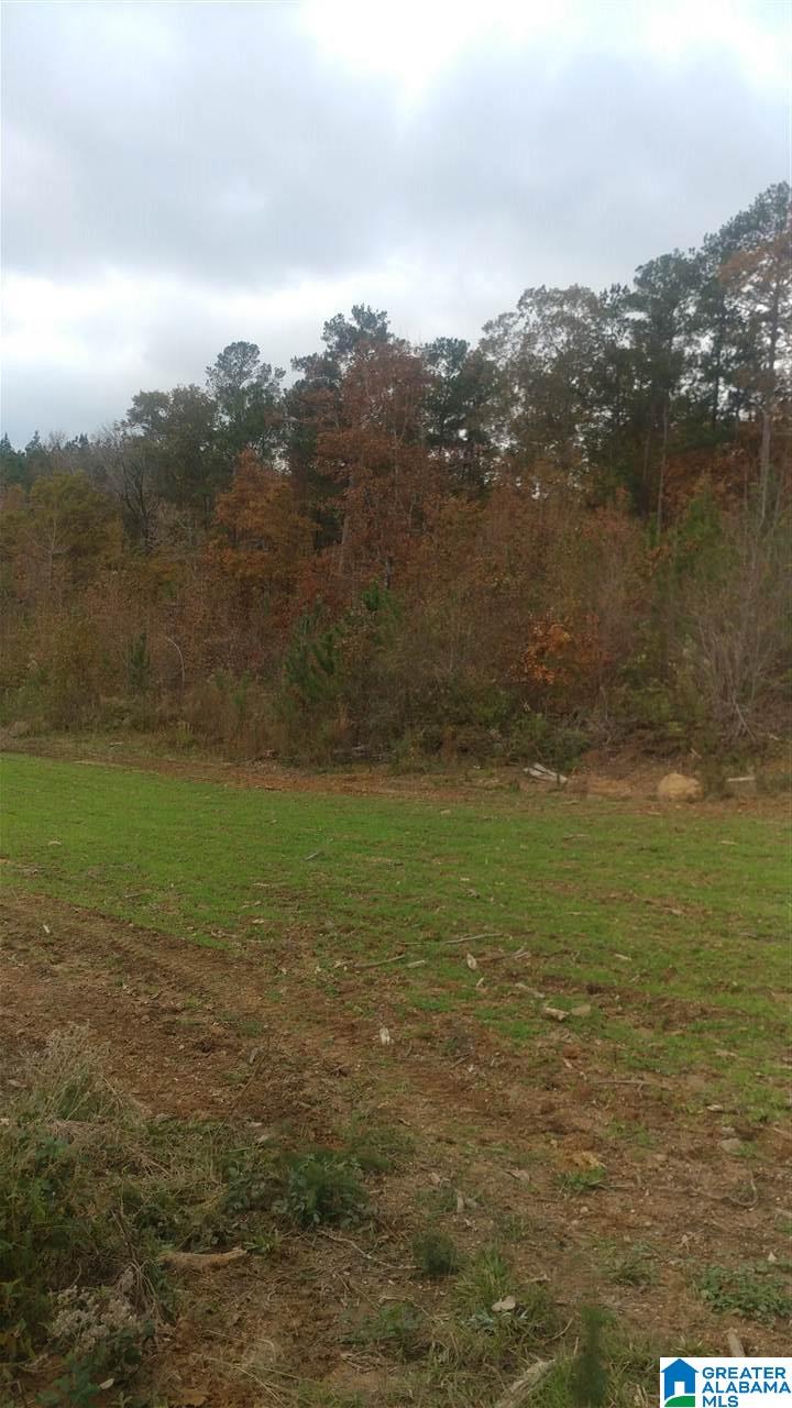 0 Bulldog Bend Road Brierfield, AL 35035 - Photo 31 of 32