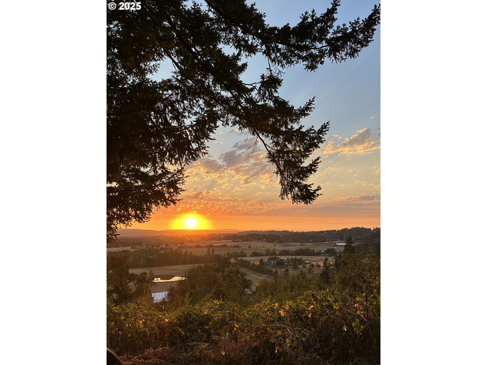 27940 Southwest Mountain Road West Linn, OR 97068 - Photo 36 of 42