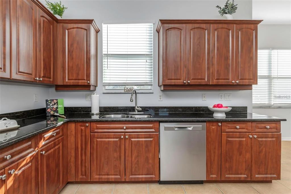 7327 Brightwaters Court New Port Richey, FL 34652 - Photo 8 of 45 a kitchen with granite countertop wooden cabinets and a sink