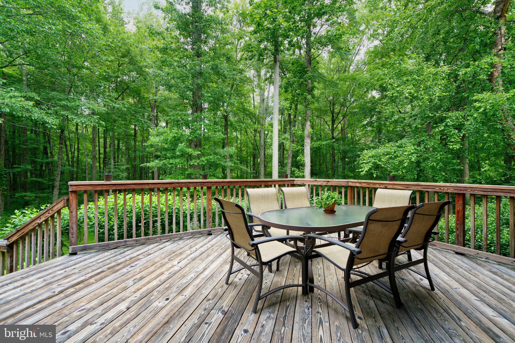 11 Carson Road Princeton, NJ 08540 - Photo 33 of 37 Deck #1 off breakfast room