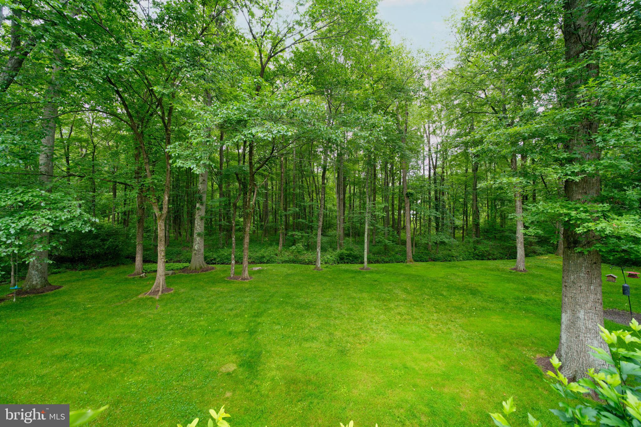 11 Carson Road Princeton, NJ 08540 - Photo 35 of 37 Flat, grassed backyard