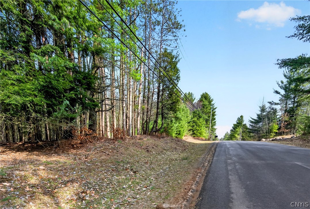 Salt Road Constantia, NY 13044 - Photo 2 of 4