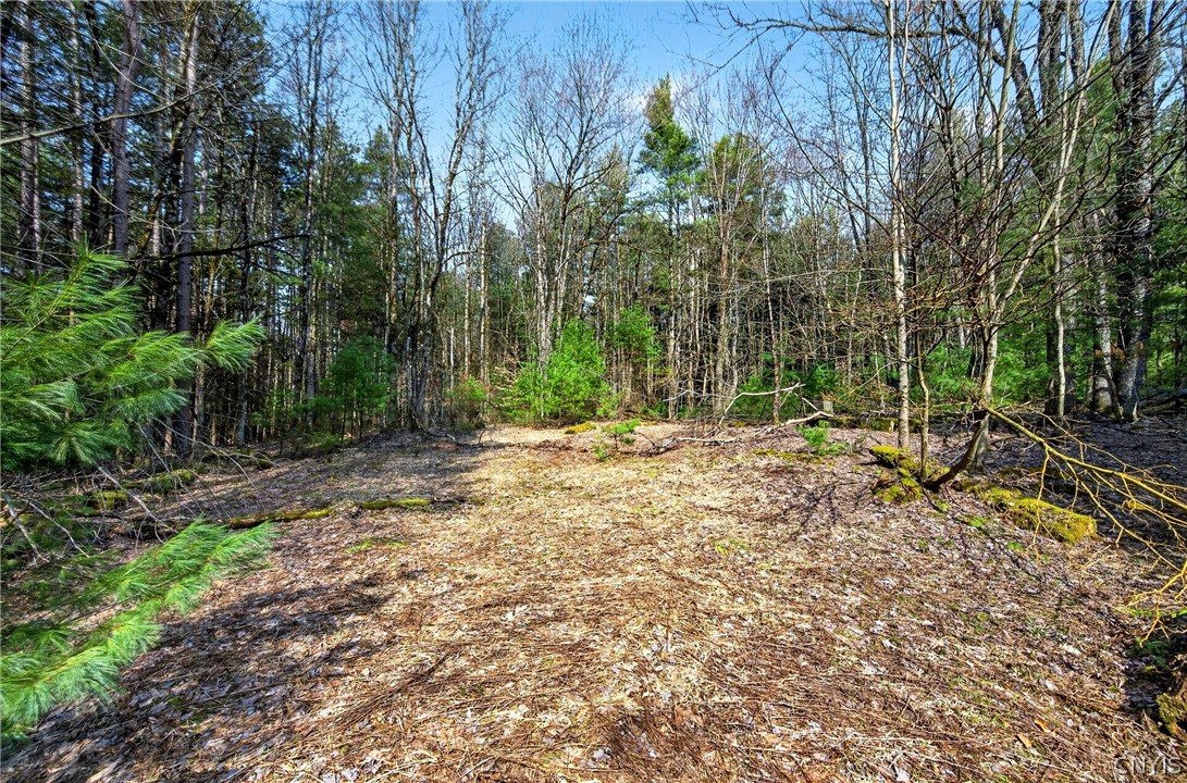 Salt Road Constantia, NY 13044 - Photo 3 of 4