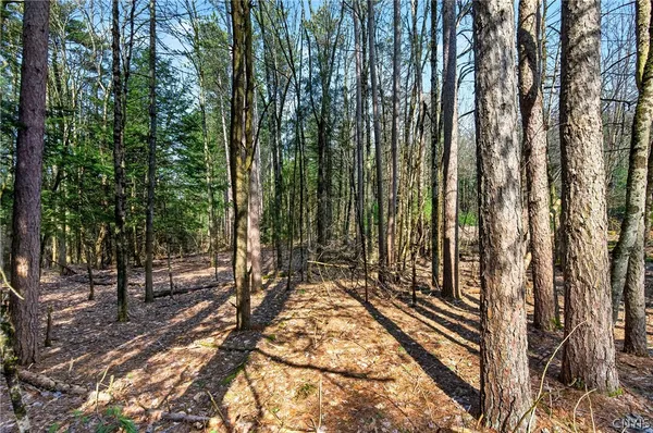 $75,000 | Salt Road, Constantia, NY 13044