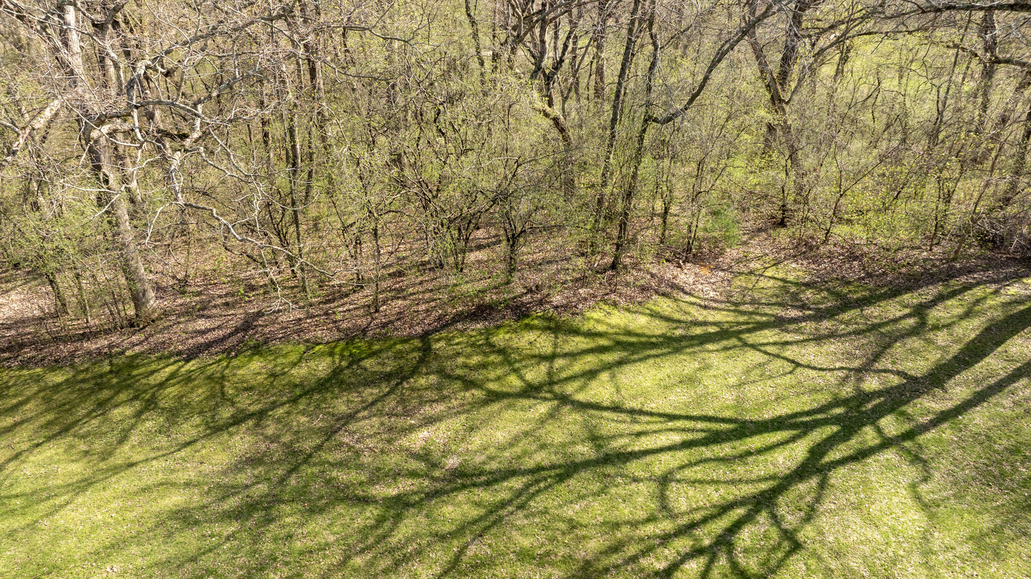 5041 Creek Haven Road Cottage Grove, WI 53527 - Photo 8 of 30 DJI_0472