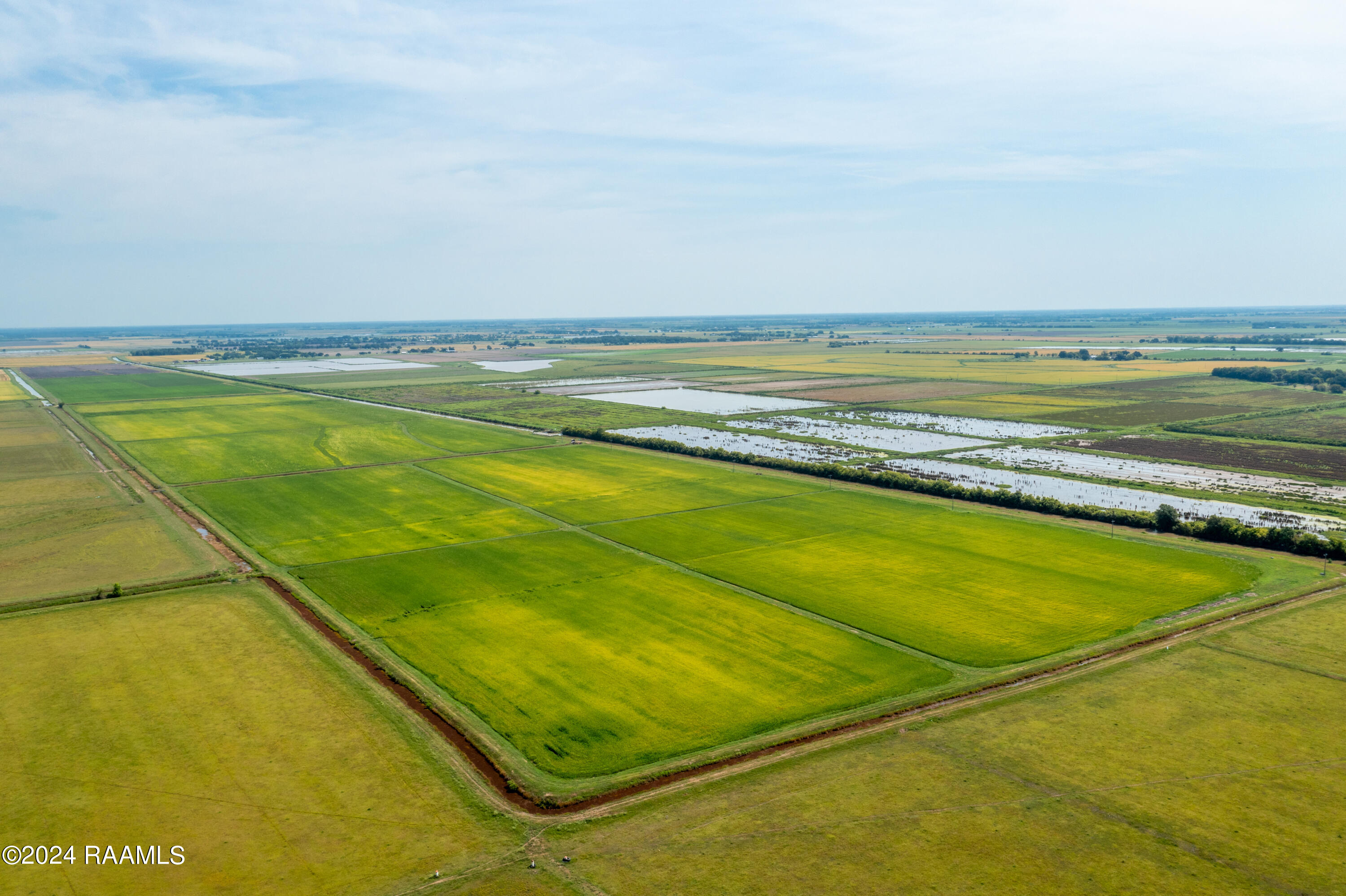 IntracoastalLodge.Rice-3