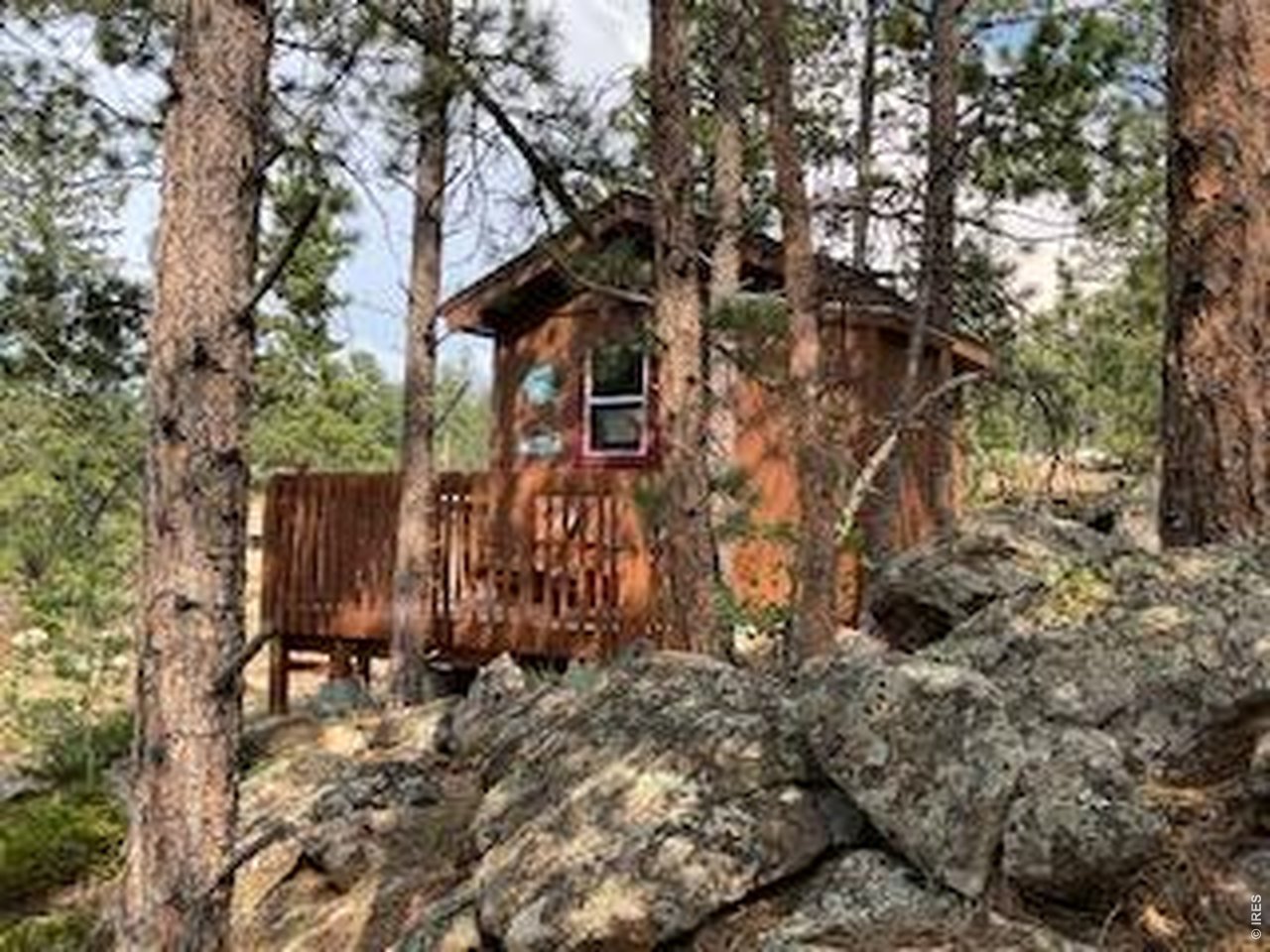 673 Nokomis Road Red Feather Lakes, CO 80545 - Photo 17 of 19