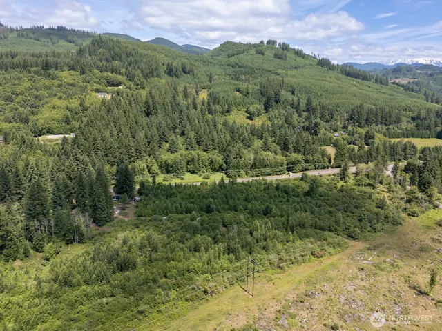 a view of a lush green forest with trees and houses