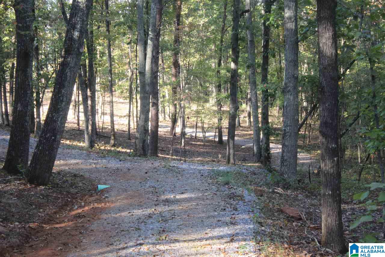 644 Washboard Road, Unit LOT 1 Columbiana, AL 35051 - Photo 4 of 9