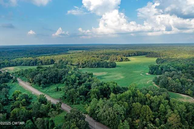 a view of a big yard with large trees