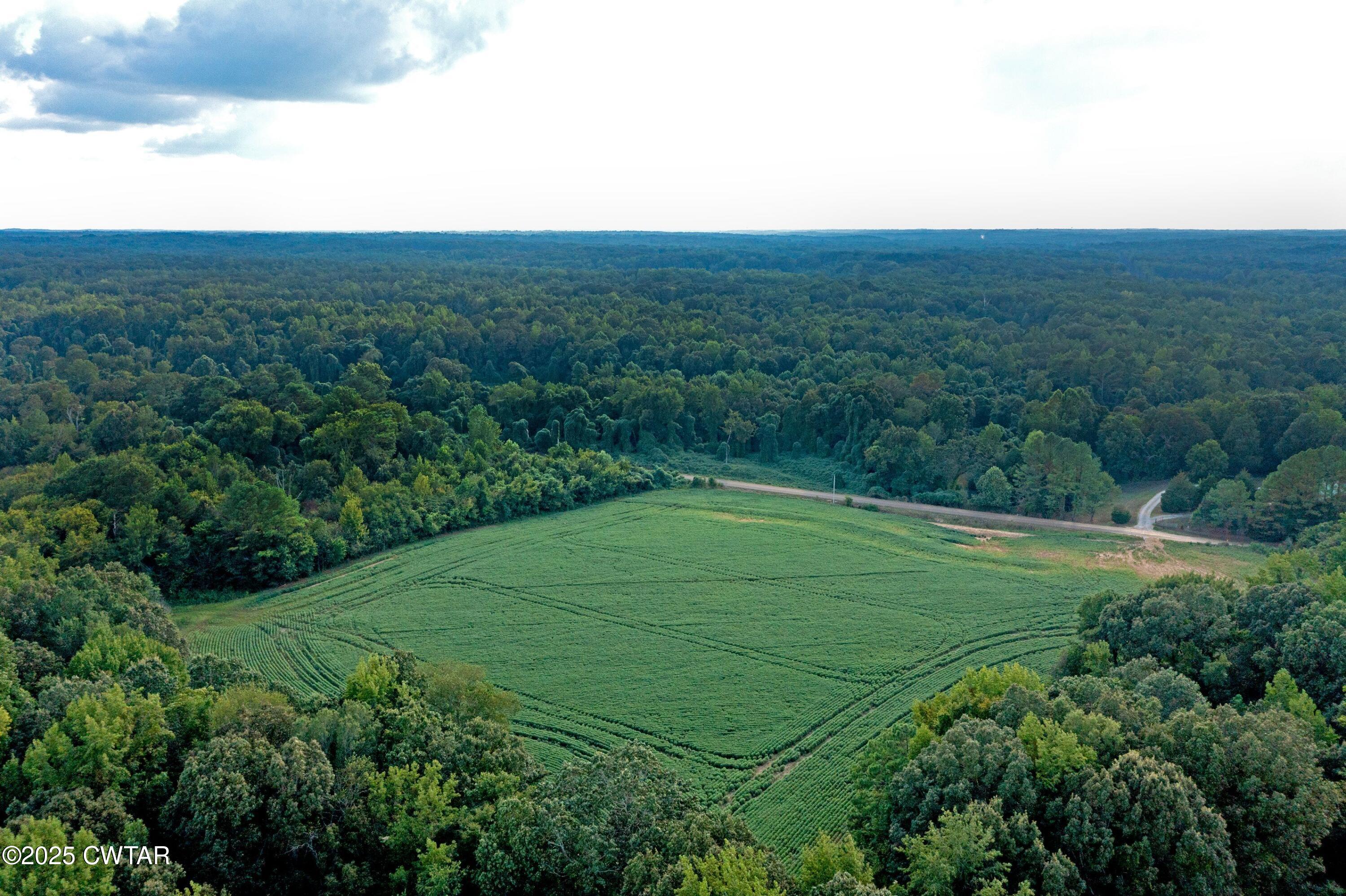 0 Vildo Road Bolivar, TN 38008 - Photo 11 of 15 a view of a field with a tree in the background