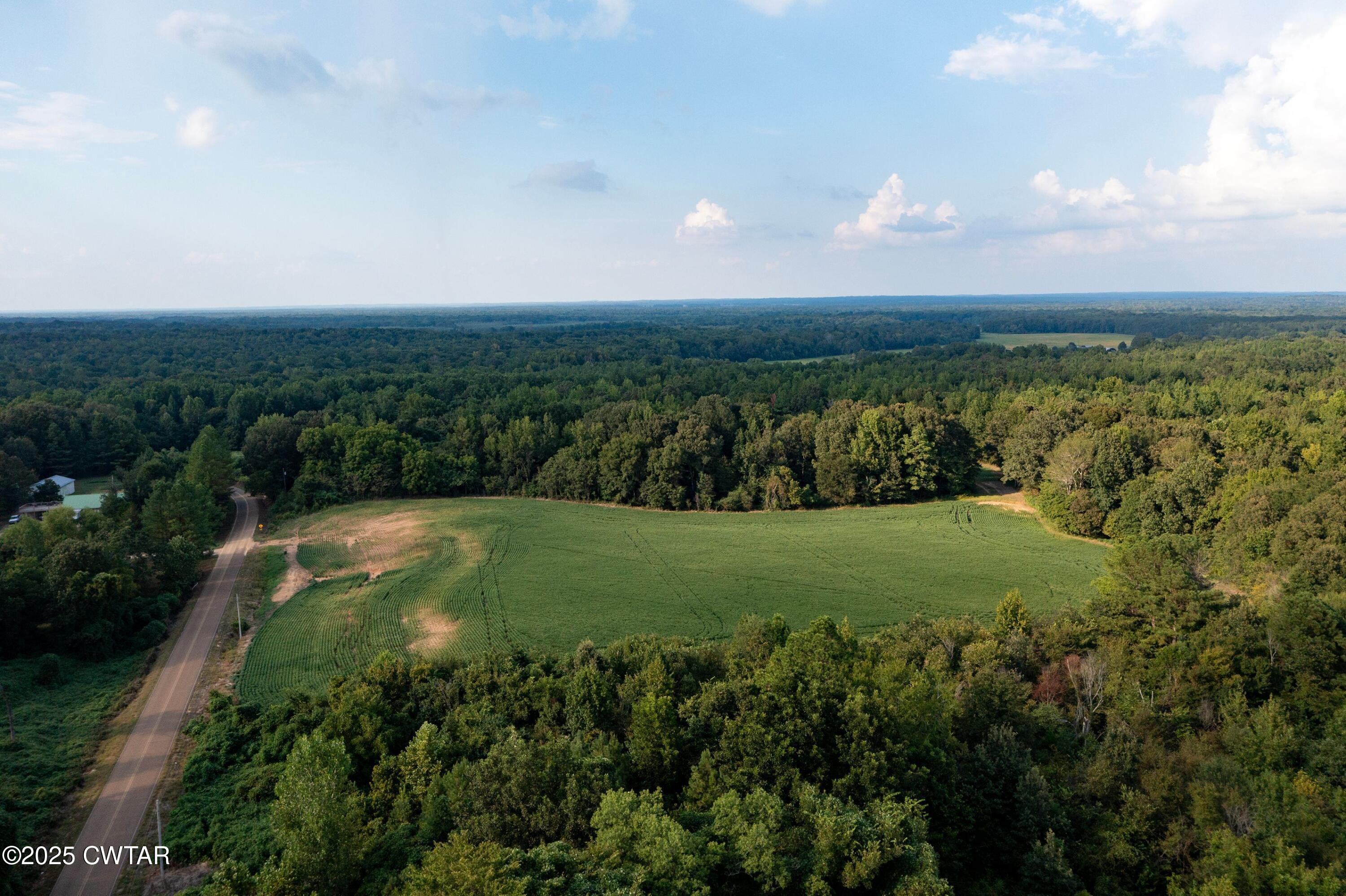 0 Vildo Road Bolivar, TN 38008 - Photo 12 of 15 a view of a city with lush green forest
