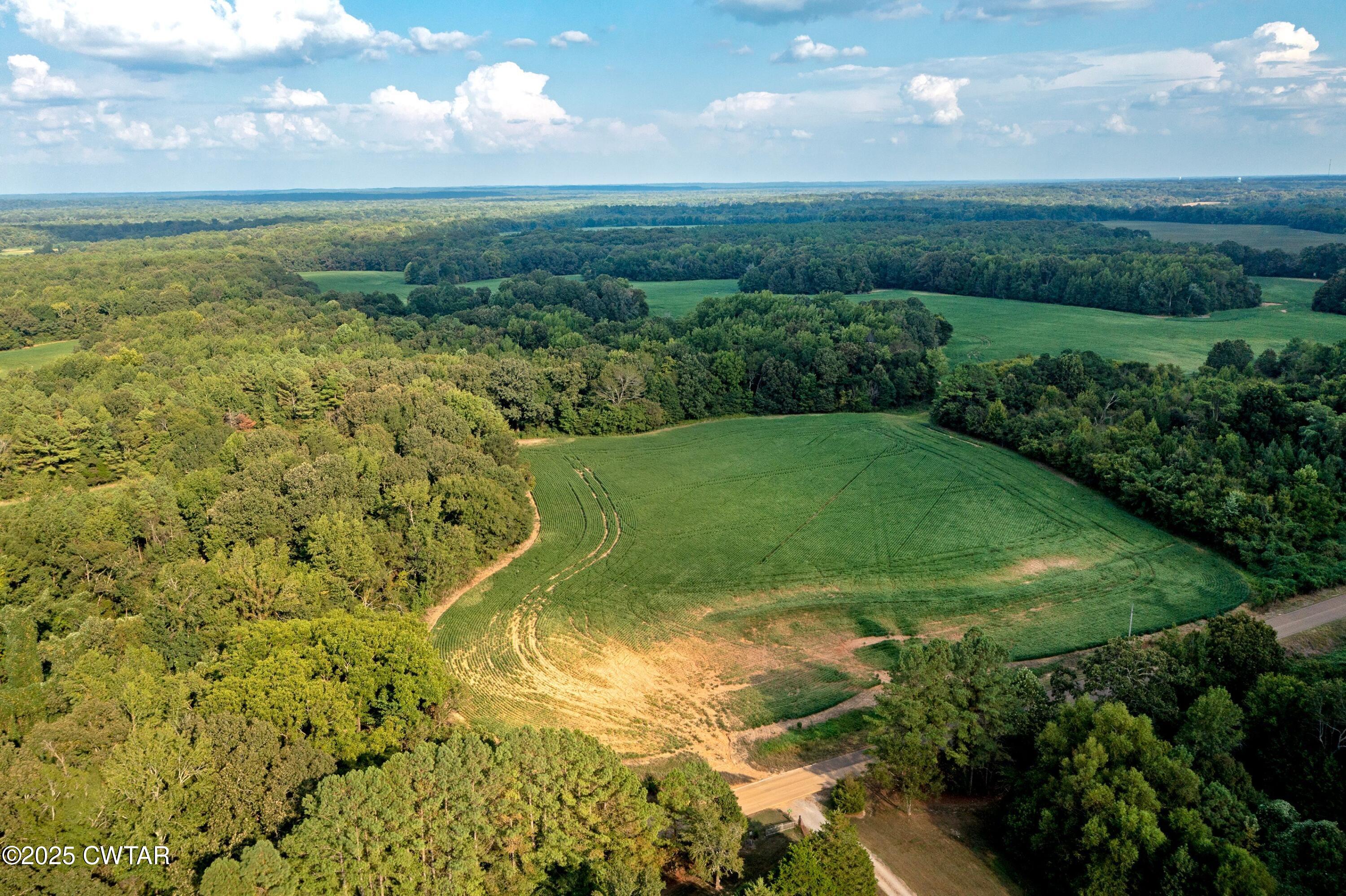 0 Vildo Road Bolivar, TN 38008 - Photo 14 of 15