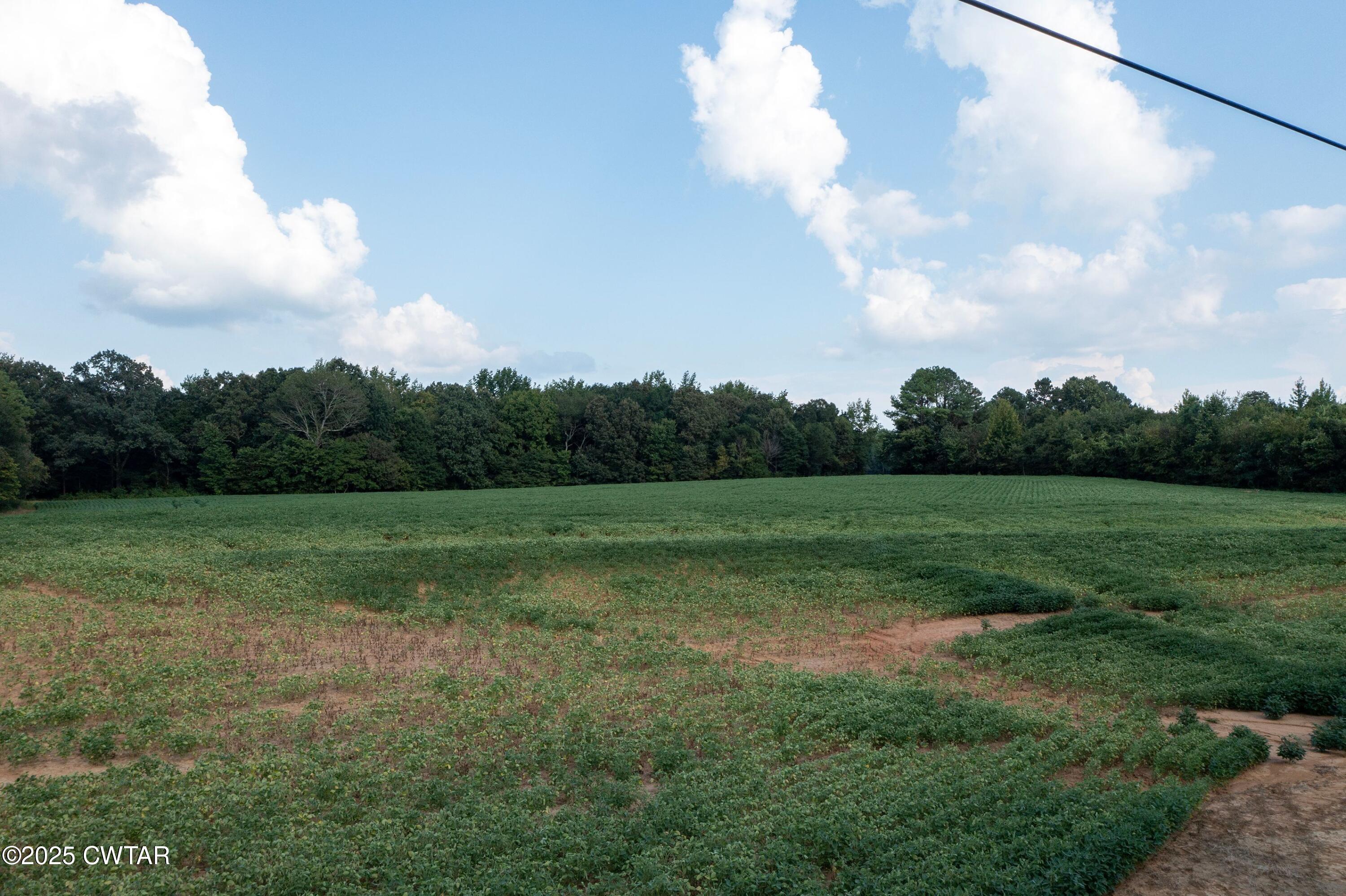 0 Vildo Road Bolivar, TN 38008 - Photo 15 of 15 a view of field with green space