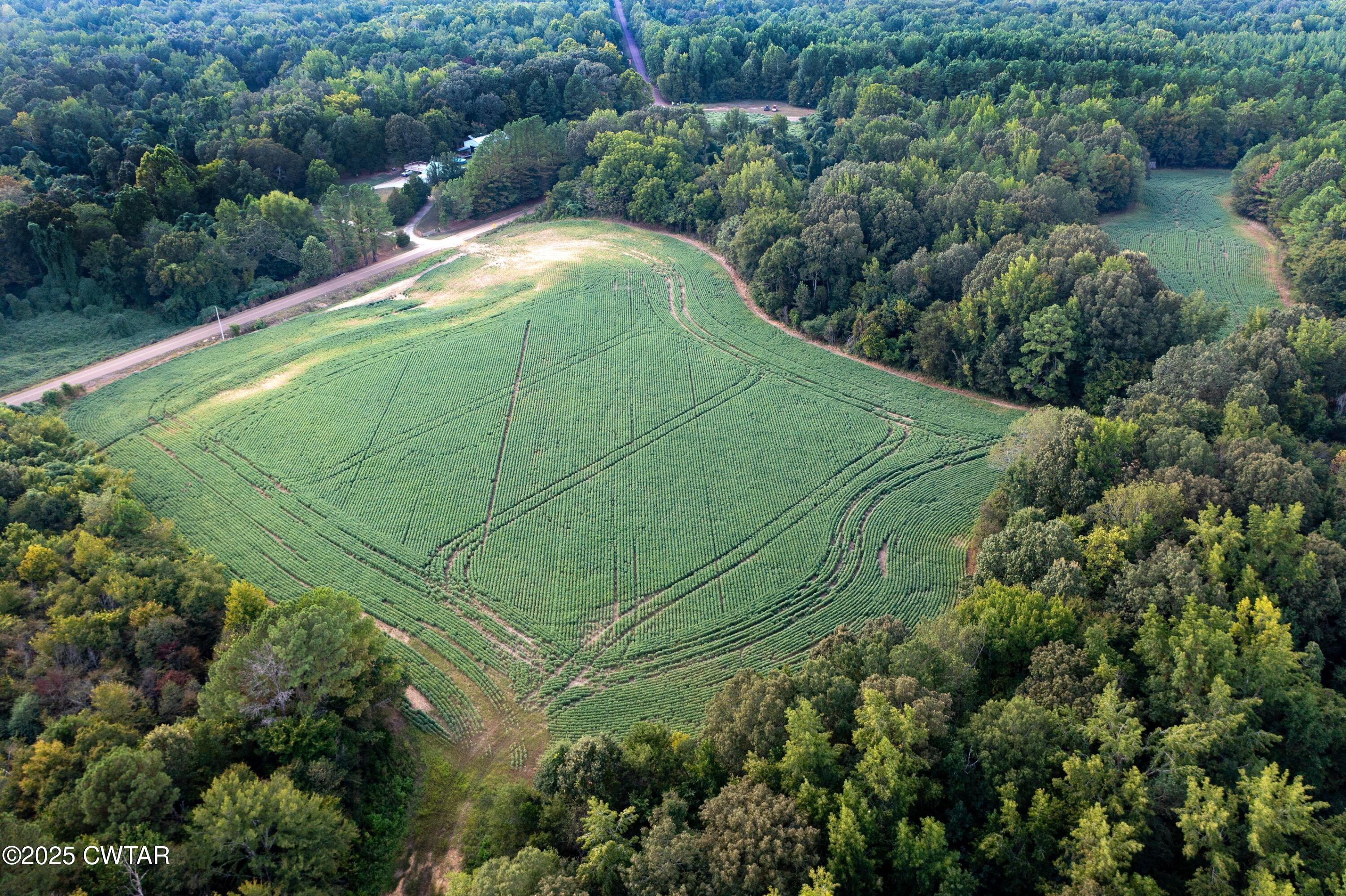 0 Vildo Road Bolivar, TN 38008 - Photo 2 of 15 an aerial view of a house