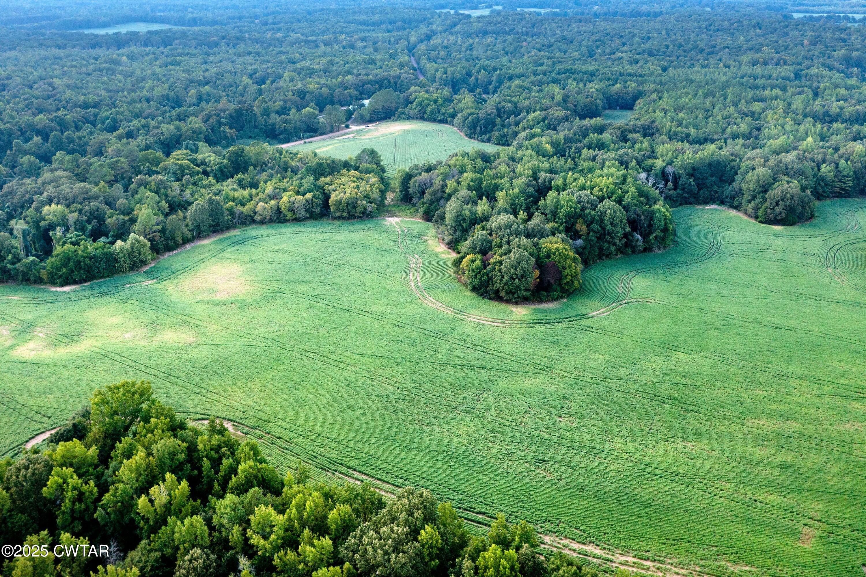 0 Vildo Road Bolivar, TN 38008 - Photo 3 of 15 an aerial view of green field with lots of green space
