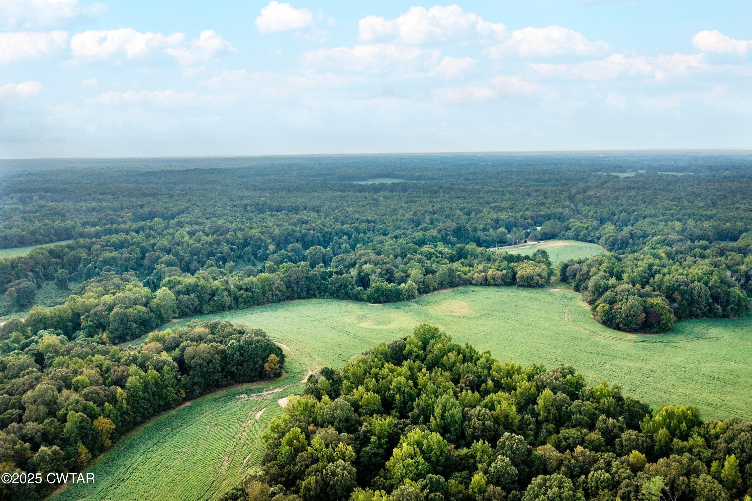 0 Vildo Road Bolivar, TN 38008 - Photo 4 of 15 a view of a back yard of the house