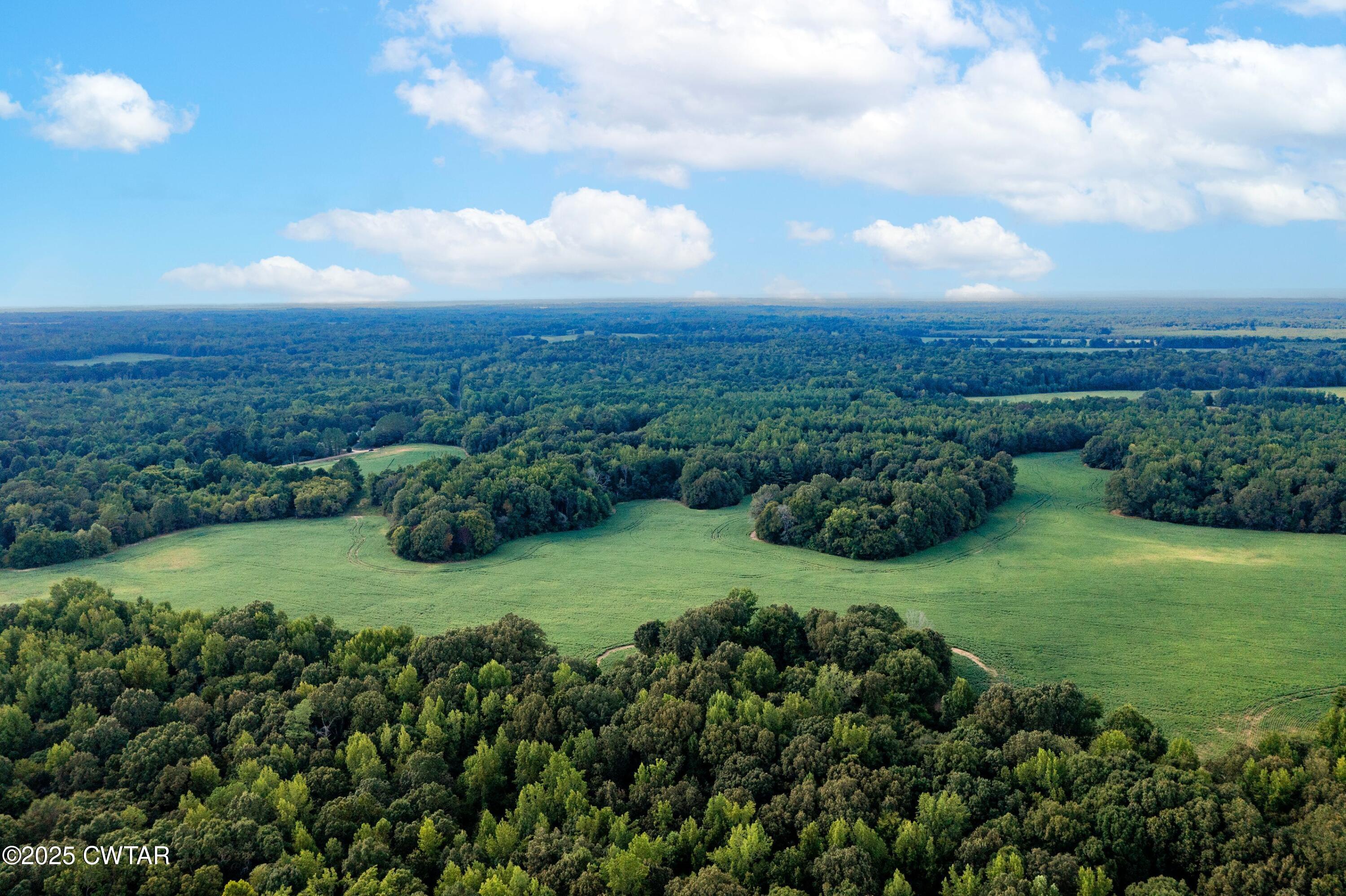 0 Vildo Road Bolivar, TN 38008 - Photo 5 of 15 a view of a big yard with plants and a bench