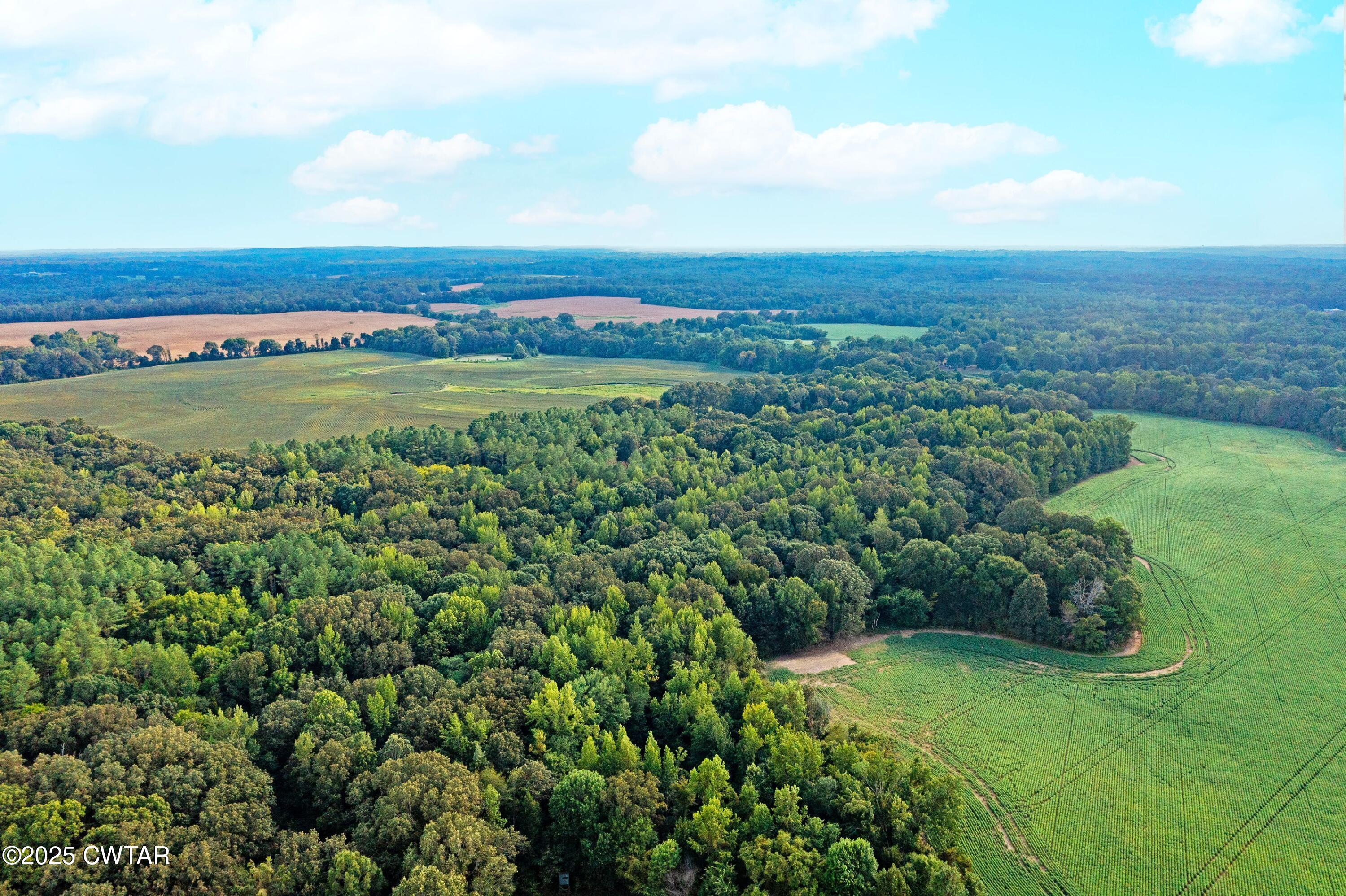 0 Vildo Road Bolivar, TN 38008 - Photo 6 of 15 an aerial view of a houses with yard