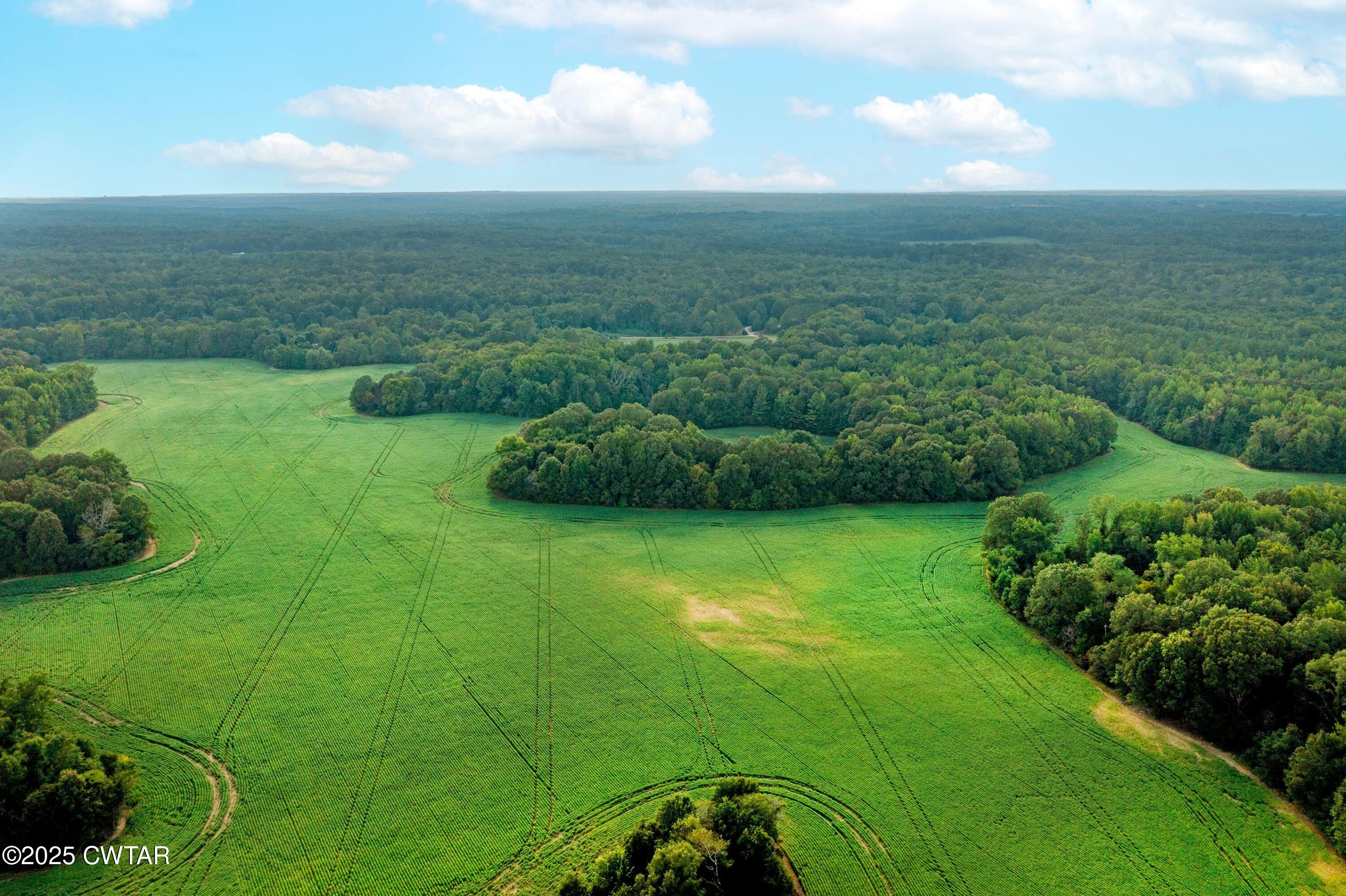 0 Vildo Road Bolivar, TN 38008 - Photo 7 of 15