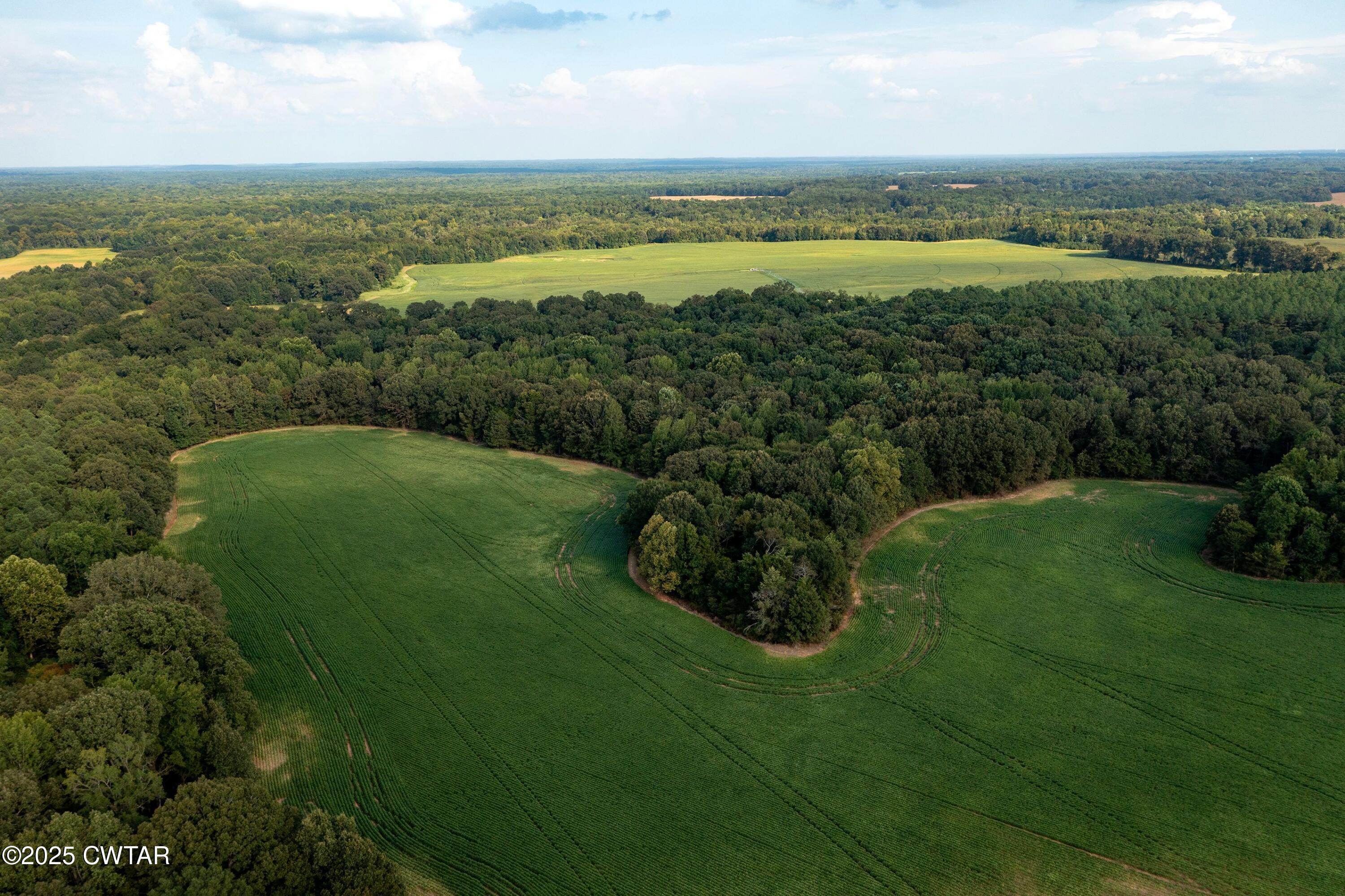 0 Vildo Road Bolivar, TN 38008 - Photo 8 of 15 a view of outdoor space and yard