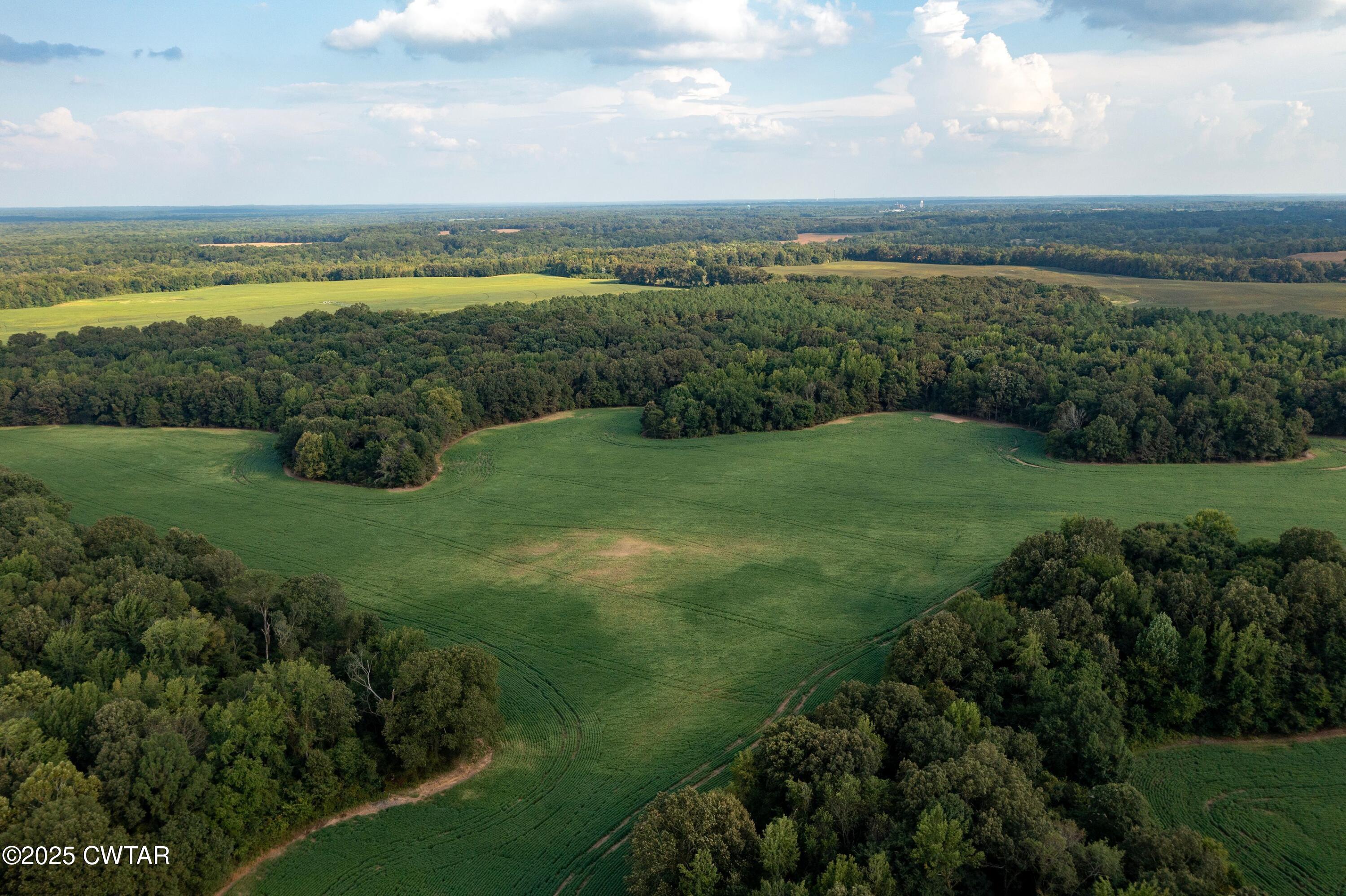 0 Vildo Road Bolivar, TN 38008 - Photo 9 of 15 a view of a city with a lake