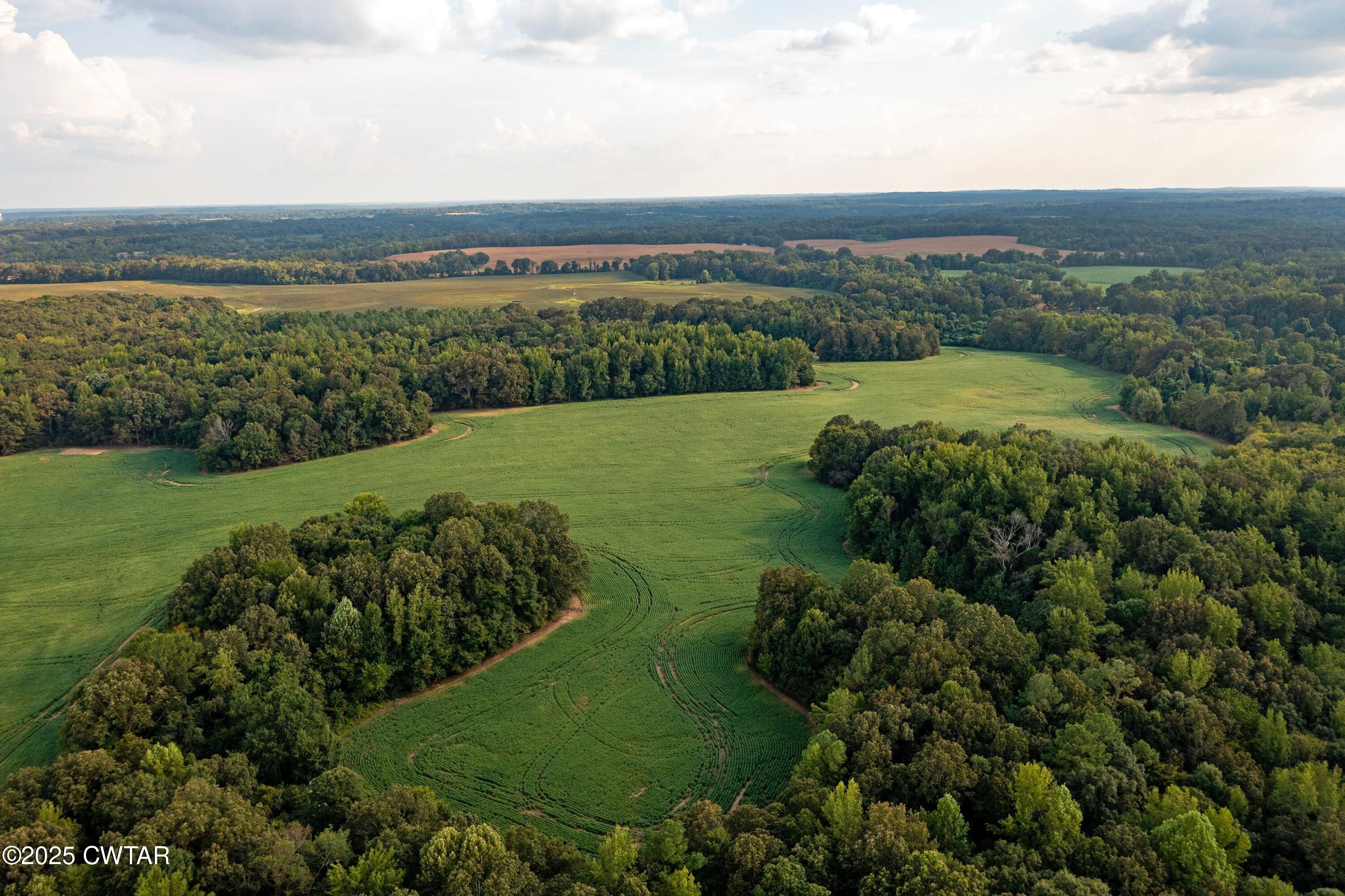 0 Vildo Road Bolivar, TN 38008 - Photo 10 of 15 a view of a city with a lake