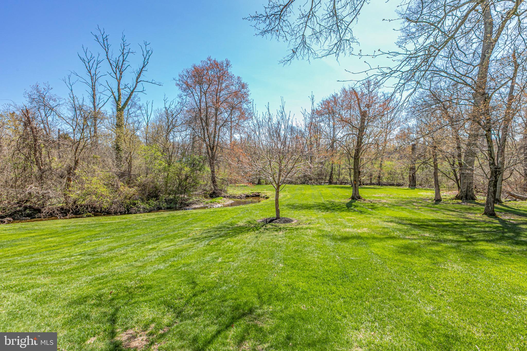 8 Winfield Road Princeton, NJ 08540 - Photo 50 of 52 a view of a park with large trees