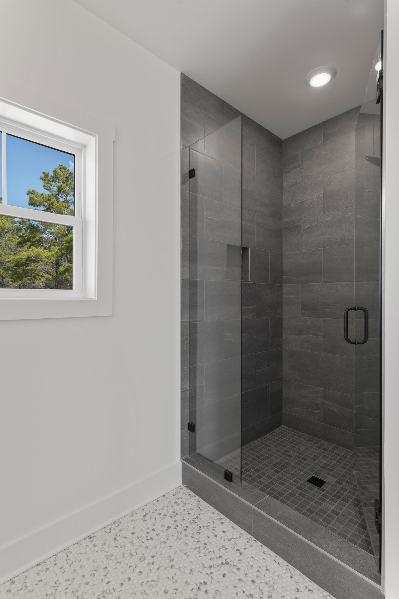 50 Nautilus Breeze Way Inlet Beach, Unit LOT 20 Inlet Beach, FL 32461 - Photo 7 of 34 Primary Shower