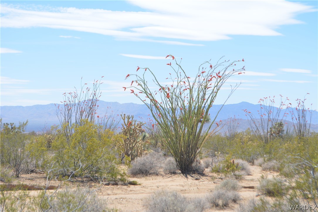 992- South Wild Bill Road Yucca, AZ 86438 - Photo 39 of 65