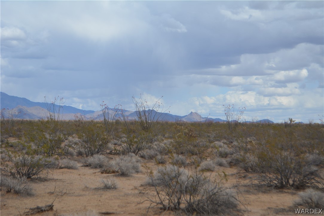 992- South Wild Bill Road Yucca, AZ 86438 - Photo 54 of 65