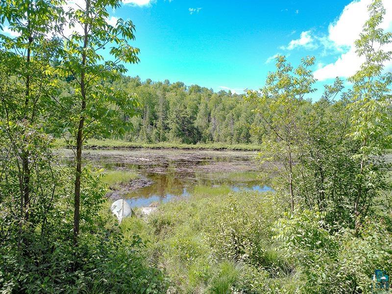 6975 Cramer Road Finland, MN 55603 - Photo 54 of 62